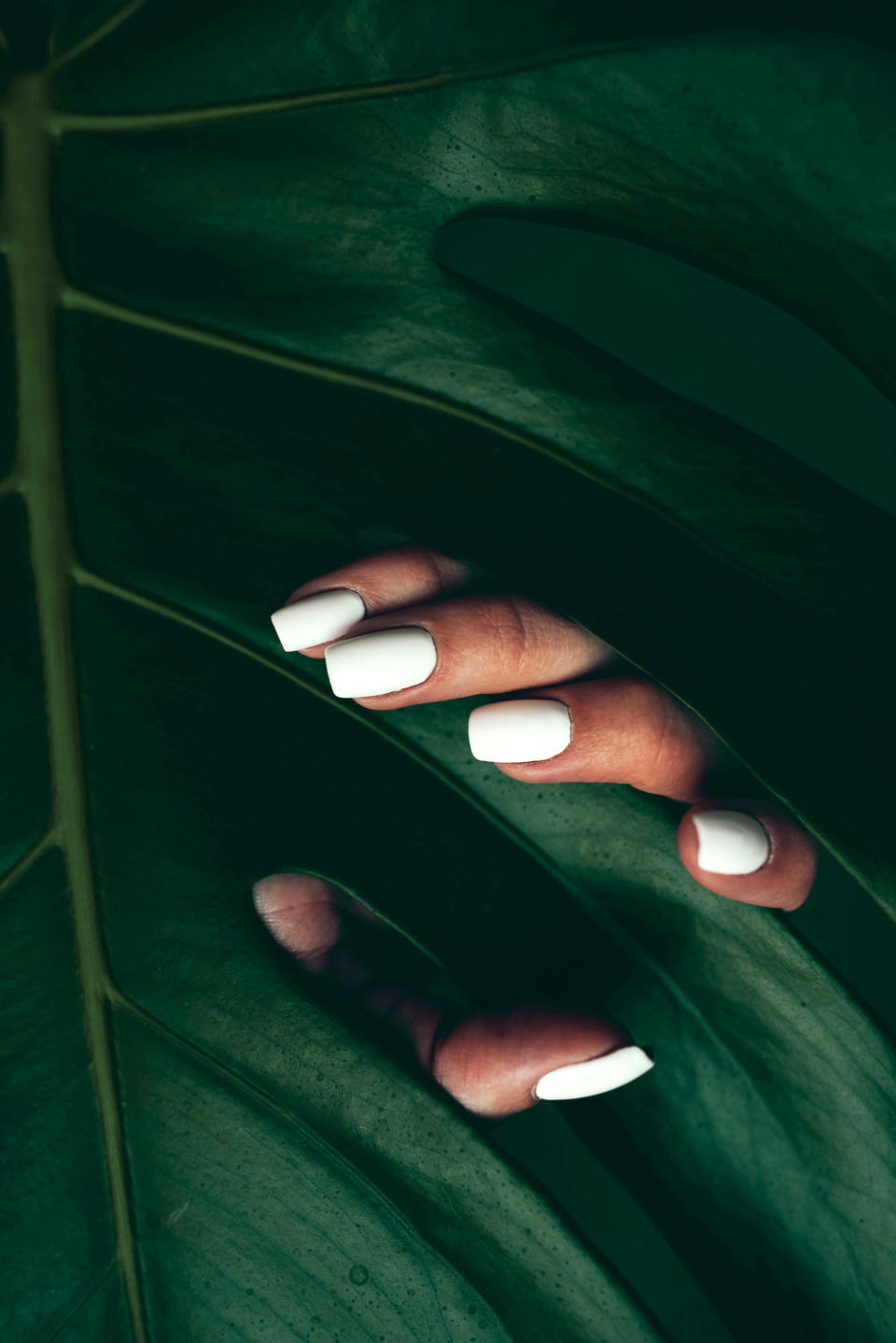 female manicure with monstera leaf. well-groomed nails.