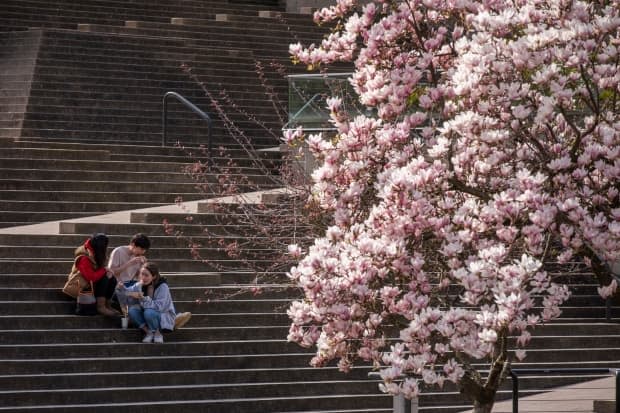 People are pictured wearing face masks in downtown Vancouver, British Columbia on Tuesday, April 6, 2021. See cherry tree with blossoms in fg.