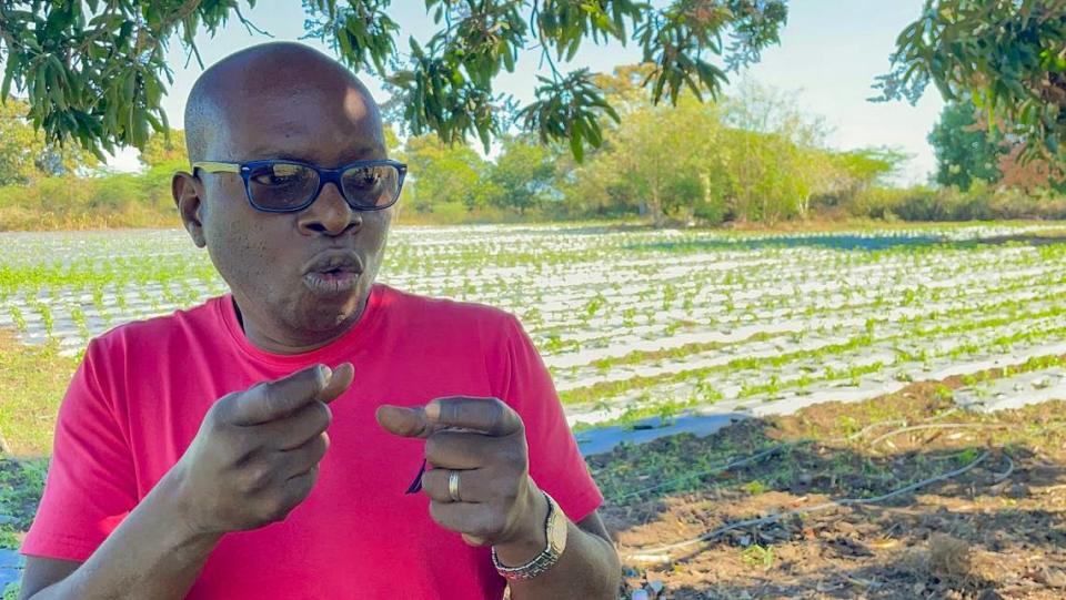 Maxwell Marcelin and his wife, Kalinda Magloire, who focuses on producing clean-cooking stoves, are among four friends from Port-au-Prince now working with farmers in north Haiti to help them find better techniques to grow crops.