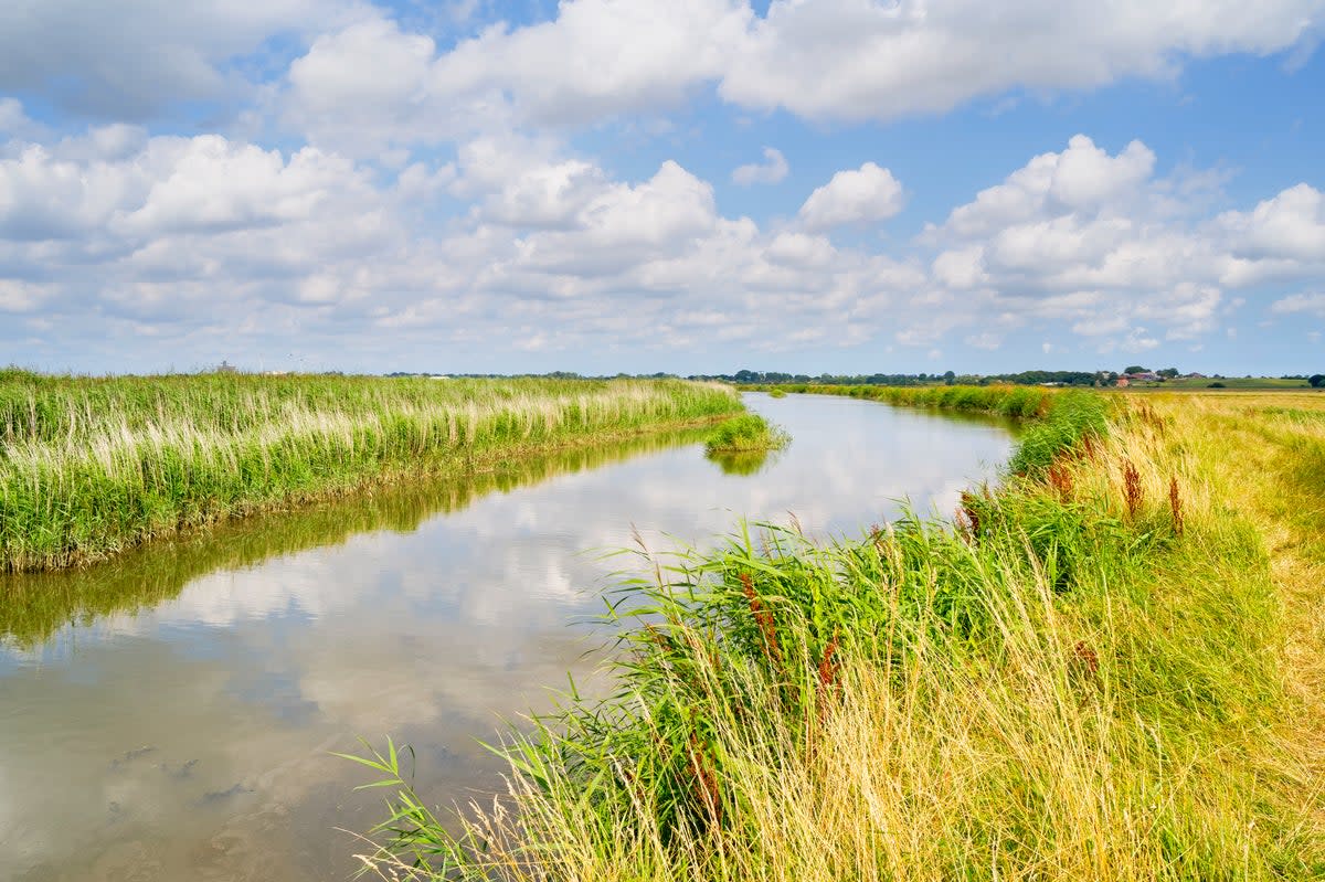The Broads cover an area of more than 300 square kilometres (Getty/iStock)