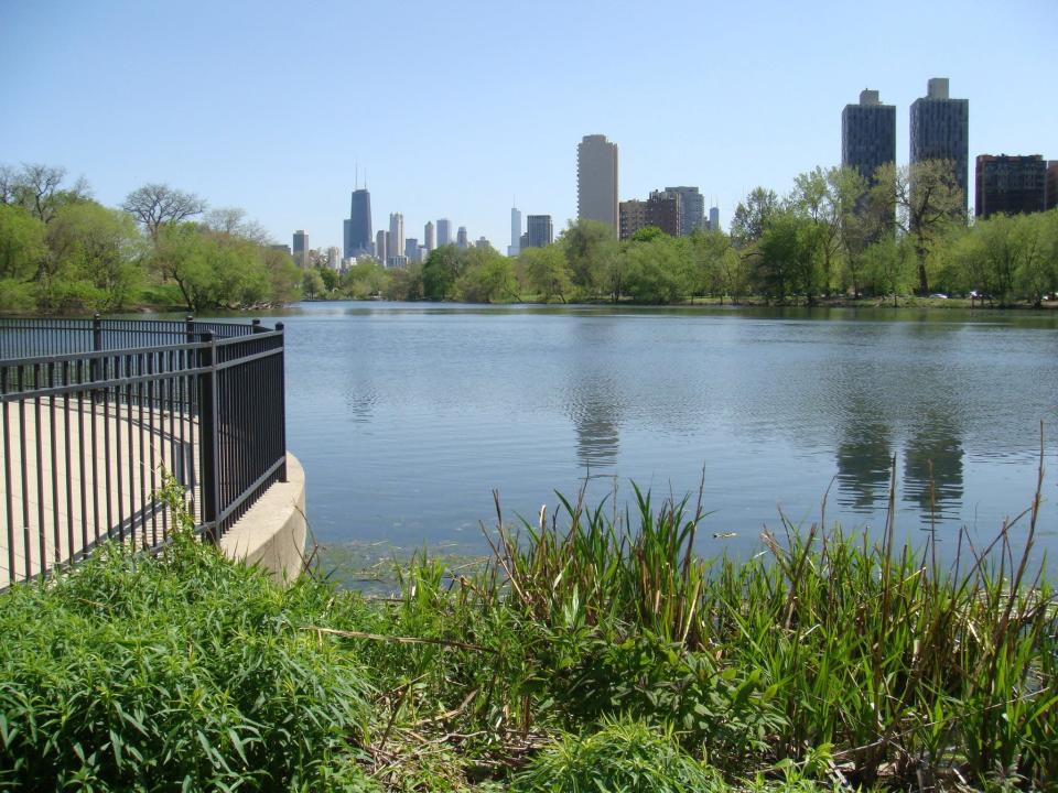 Chicago's Lincoln Park is a popular bird-watching spot in the city.