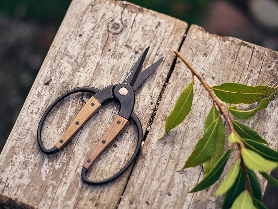 Barebones Living Garden Scissors in Walnut