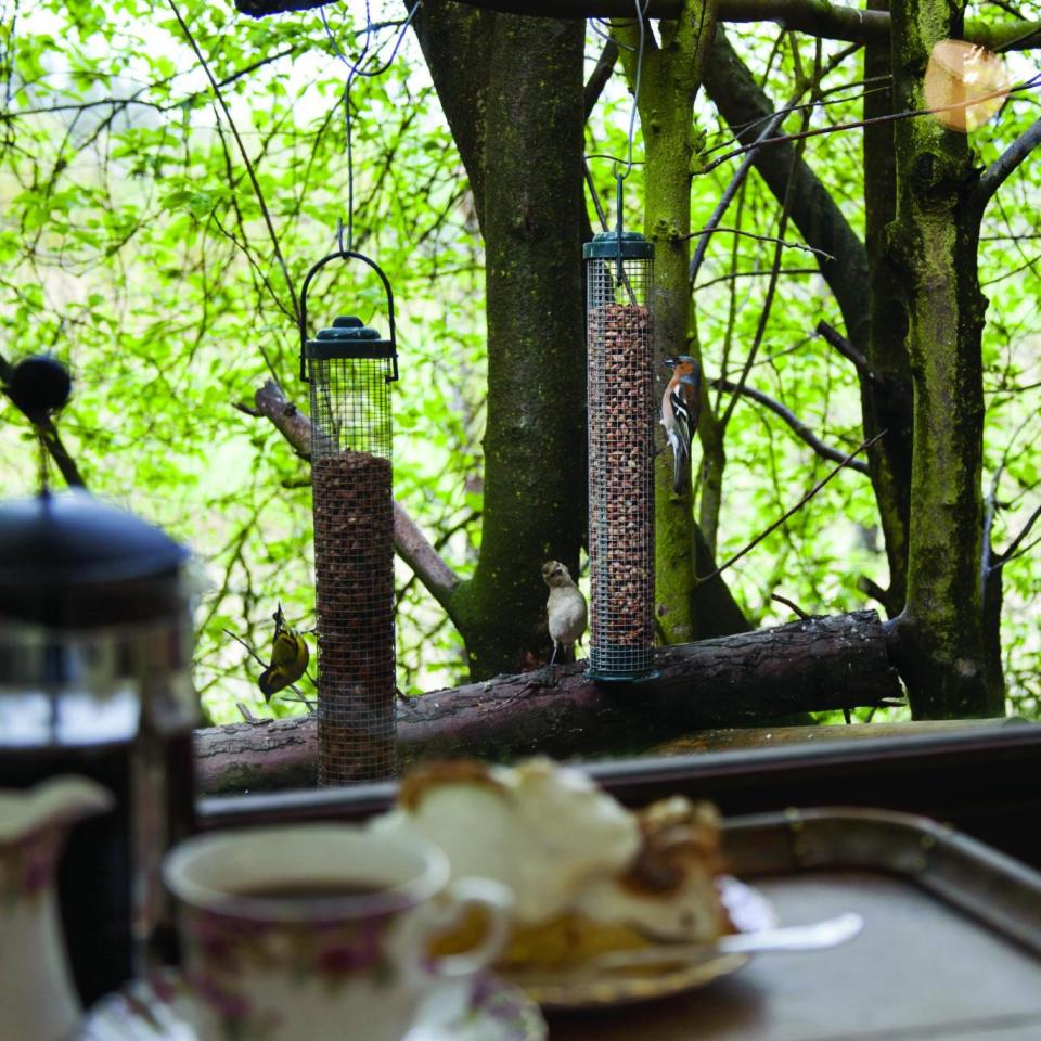 A tea room with a view at Insriach Potting Shed (Janeanne Gilchrist)