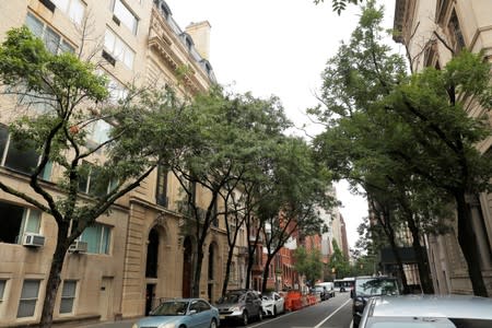 Trees grow in front of Jeffrey Epstein's home in the Manhattan borough of New York