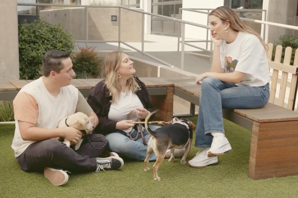 Celebrity pet matchmaker