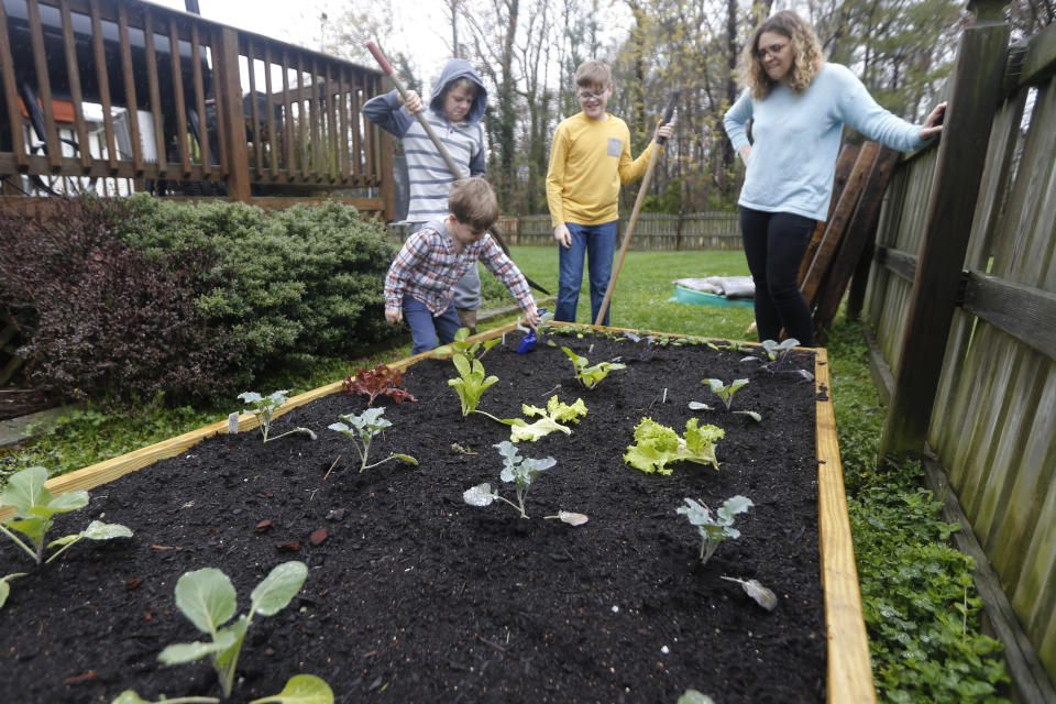 Stephanie Owens, right, looks over the garden with her son, Cole, left, Reid, top left, and Lucas, top center, as they tend to it at their home Wednesday March 25 , 2020, in Glen Allen, Va. Owens is a pharmacist who has had to continue to go to work, but has been able to spend more time with her kids because they are home from school . One of the activities that they have done is planting the garden. (AP Photo/Steve Helber)