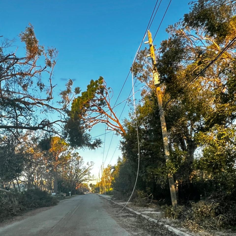 Power lines have been destroyed (Diane Neal)