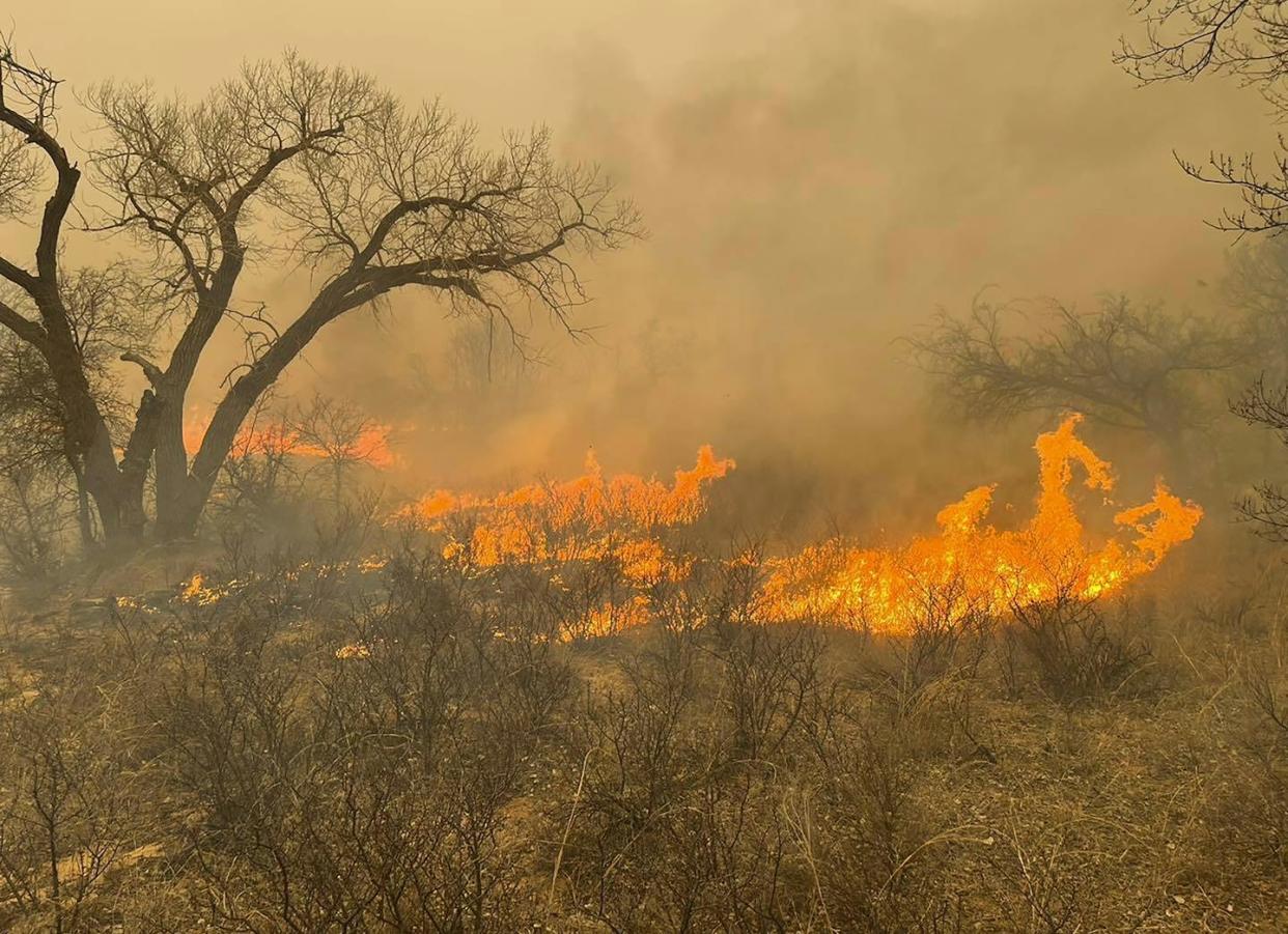 Over 1 million acres of grassland burn in the Texas Panhandle in late February 2024. <a href="https://newsroom.ap.org/detail/Texas-Wildfires/f64f0576fb9744b2a60210c02d0d58bd/photo" rel="nofollow noopener" target="_blank" data-ylk="slk:Greenville Fire-Rescue via AP;elm:context_link;itc:0;sec:content-canvas" class="link ">Greenville Fire-Rescue via AP</a>