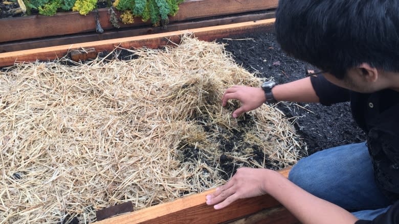 'It's hard work — but it's fun': North Van high schoolers farm up fresh foods