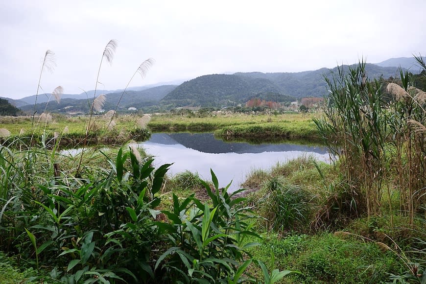 宜蘭雙連埤環湖步道