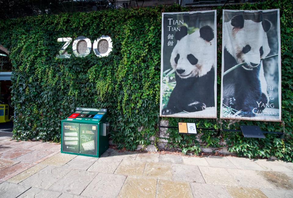 <em>Edinburgh Zoo believed Tian Tian was pregnant last month (Rex)</em>