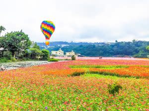 2019桃園市第五屆花彩節將持續到十二月一日，大片花海成為年輕網紅網美們的超夢幻拍照景點。｜The 2019 Taoyuan Flower festival starting from Nov. 9 will last until Dec. 1, inviting visitors to take pictures among a sea of flowers. (Courtesy of Taoyuan Flower Festival)