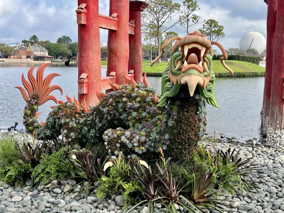 Allison Brooks, a manager on the WDW horticulture team, says this dragon topiary was filled in with succulents to make it easier to maintain in the Florida heat. (Photo: Terri Peters)