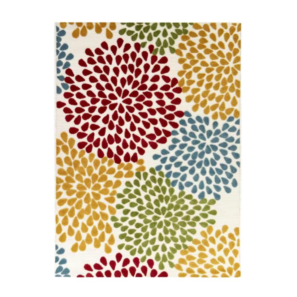 Park Pointe Color Burst Area Rug