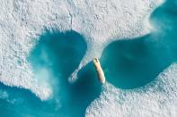 <p>‘Sobre el oso polar’ de Florian Ledoux.<br>Foto: Drone Awards </p>