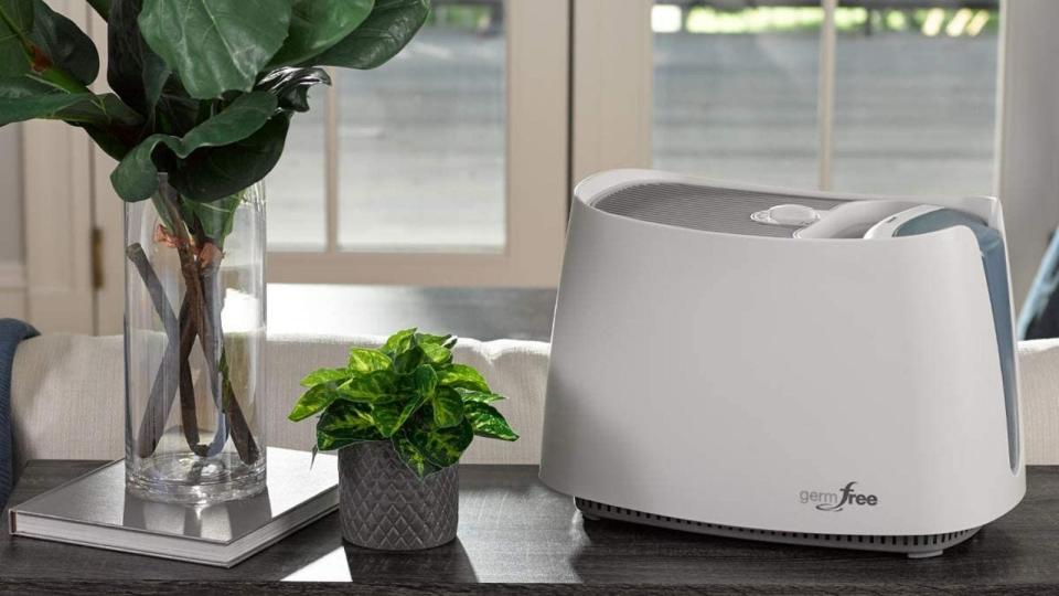 People love to hate on this humidifier.