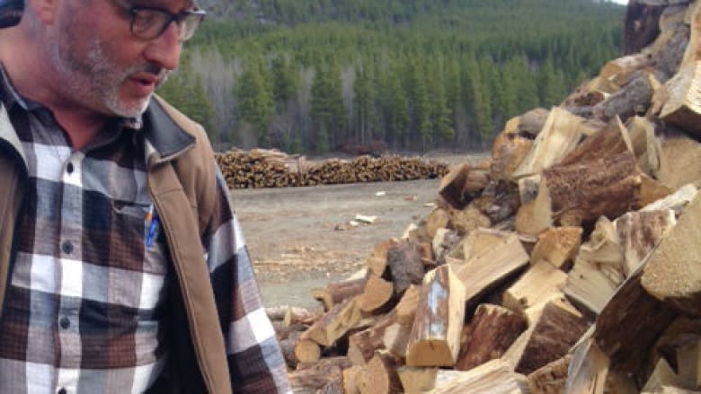 Yukon's supply of spruce beetle-killed firewood threatens to rot