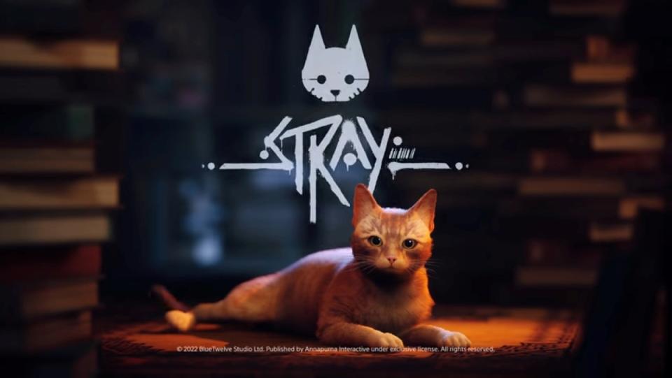 Video game poster for Stray featuring game play as an orange cat