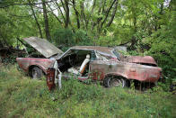 <p>After about 10 years vinyl roofs start to look a bit tatty, but after five decades they look like this. While interiors have a considerably longer shelf life, that isn’t the case when they’re left open to the elements. Look how this 1971 Lincoln Continental’s driver’s seat and door cards have been ravished over the years.</p><p>Only <strong>8205</strong> of these luxury two-door hardtop coupes were built, and it’s rare to see a survivor in a salvage yard.</p>