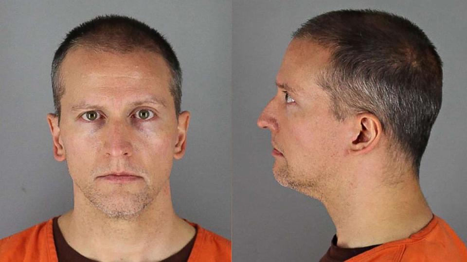 Former Minneapolis police officer Derek Chauvin's booking photos on June 01, 2020.