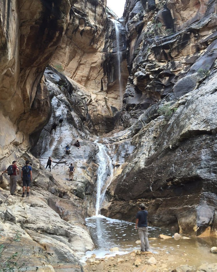 Red Rock Canyon National Conservation Area, Nevada