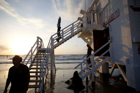 A worker carries a pot plant into a lifeguard tower as it is renovated into a luxury hotel suite, as part of an international online competition, at Frishman Beach in Tel Aviv, Israel March 13, 2017. Picture taken March 13, 2017. REUTERS/Baz Ratner