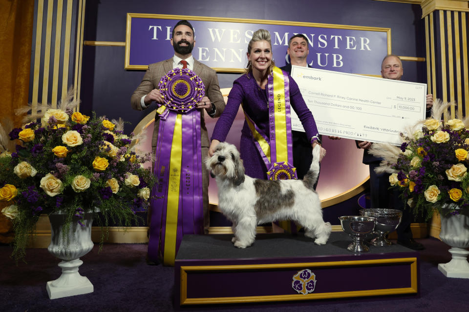 NEW YORK, NEW YORK – MAY 09: Janice Hayes and Buddy Holly, the Petit Basset Griffon Vendeen, winner of the Hound Group, wins Best in Show at the 147th Annual Westminster Kennel Club Dog Show Presented by Purina Pro Plan at Arthur Ashe Stadium on May 09, 2023 in New York City. (Photo by Sarah Stier/Getty Images for Westminster Kennel Club)