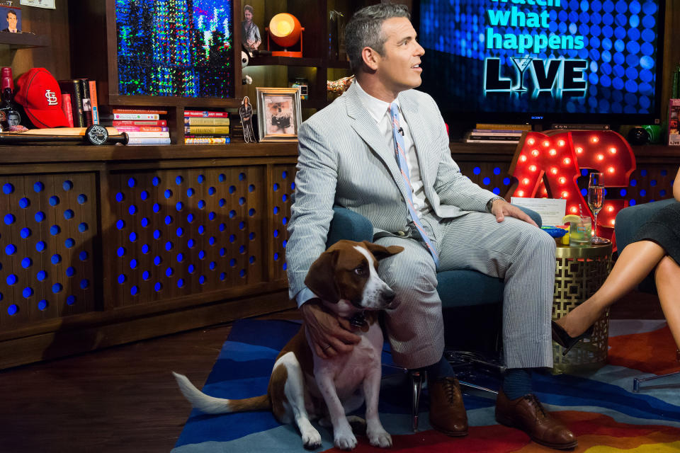 WATCH WHAT HAPPENS LIVE -- Pictured: Andy Cohen -- (Photo by: Charles Sykes/Bravo/NBCU Photo Bank/NBCUniversal via Getty Images)