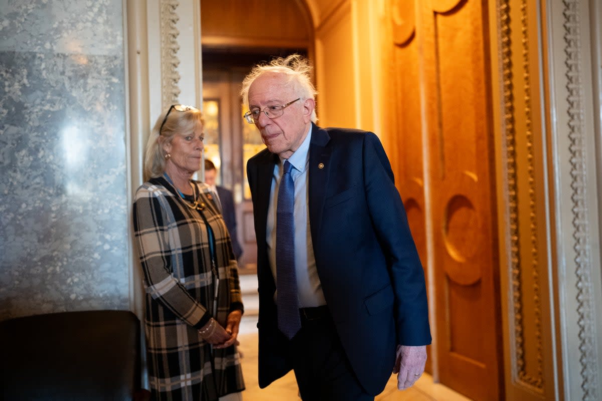 Senator Bernie Sanders, pictured, wants to limit foreign aid to Israel  (Getty Images)