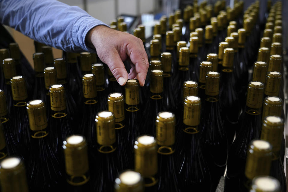 In this photo taken on Tuesday, Nov. 12, 2019, a man picks a bottle of wine in the Vinescence cellar in Saint Jean d'Ardieres, in the Beaujolais region, eastern France. Celebration is the mot du jour in France’s Beaujolais region on the third Thursday of November, when winemakers and sellers uncork the season’s Beaujolais Nouveau with feasting and fanfare. (AP Photo/Laurent Cipriani)