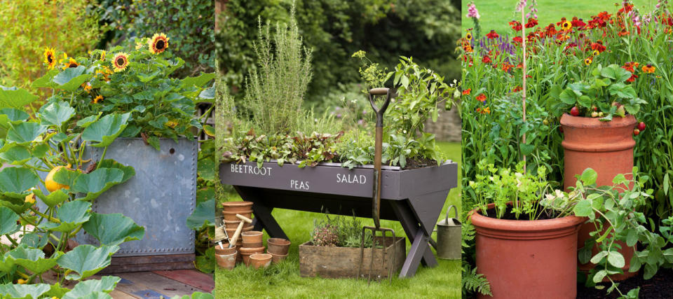 <p> There are many draws to vegetable garden container ideas, from their compact nature and flexibility through to the increased yields that each pot can produce. In fact, most vegetables grow well in containers, thriving on the nutrient rich soil and bespoke care that you can provide to each individual crop. </p> <p> When it comes to creating your&#xA0;vegetable garden ideas,&#xA0;start by choosing varieties that you love to eat. This will help to guide your choice of containers (both material and size) as well as their positioning in your garden layout.&#xA0; </p> <p> &apos;The power of pots shouldn&#x2019;t be underestimated: well-placed containers can transform a garden. They set its style, completing the look and making strong statements,&apos; says gardening expert Leigh Clapp. &apos;Take some time to consider what would suit your needs and where you may have space for containers in your garden.&apos; </p> <p> <em>By Melanie Griffiths&#xA0;</em> </p>