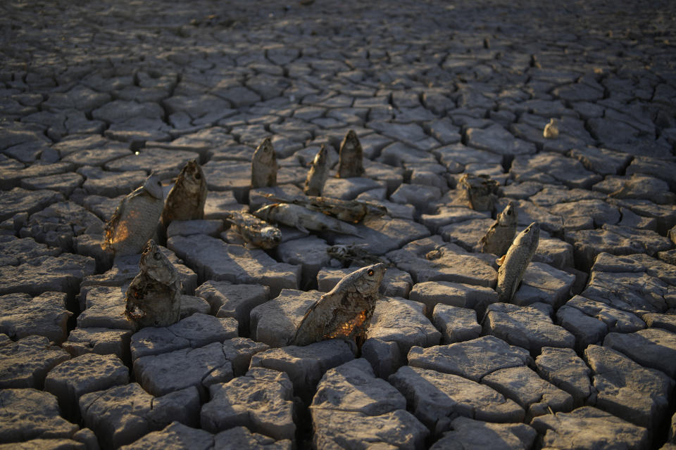 Fondo reseco del lago Mead de Nevada, cerca de Boulder City, en foto del 28 de junio del 2022. El nivel de las aguas del lago es el más bajo de la historia y hay amplios sectores sin agua. (AP Photo/John Locher)