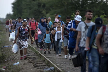 Migrants hoping to cross into Hungary walk along a railway track outside the village of Horgos in Serbia, towards the shared border with Hungary August 31, 2015. REUTERS/Marko Djurica