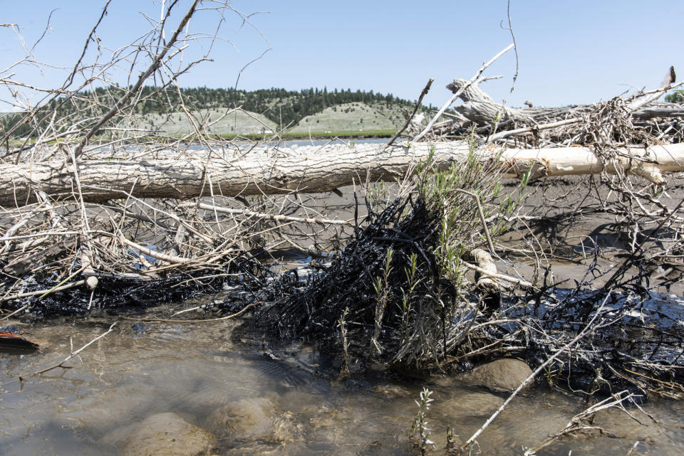 In this photo provided by Alexis Bonogofsky, petroleum products cover areas along the banks of the Yellowstone River near Columbus, Mont., July 1, 2023, following a freight train wreck last week in which tank cars fell into the river when a bridge collapsed. Officials with the Environmental Protection Agency said cleanup efforts began on Sunday, July 2, with workers cooling the asphalt binder with river water, rolling it up and putting the globs into garbage bags. (Alexis Bonogofsky via AP)