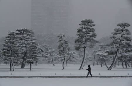 A man makes his way in the heavy snow at the Imperial Palace in Tokyo, Japan January 22, 2018. REUTERS/Kim Kyung-Hoon