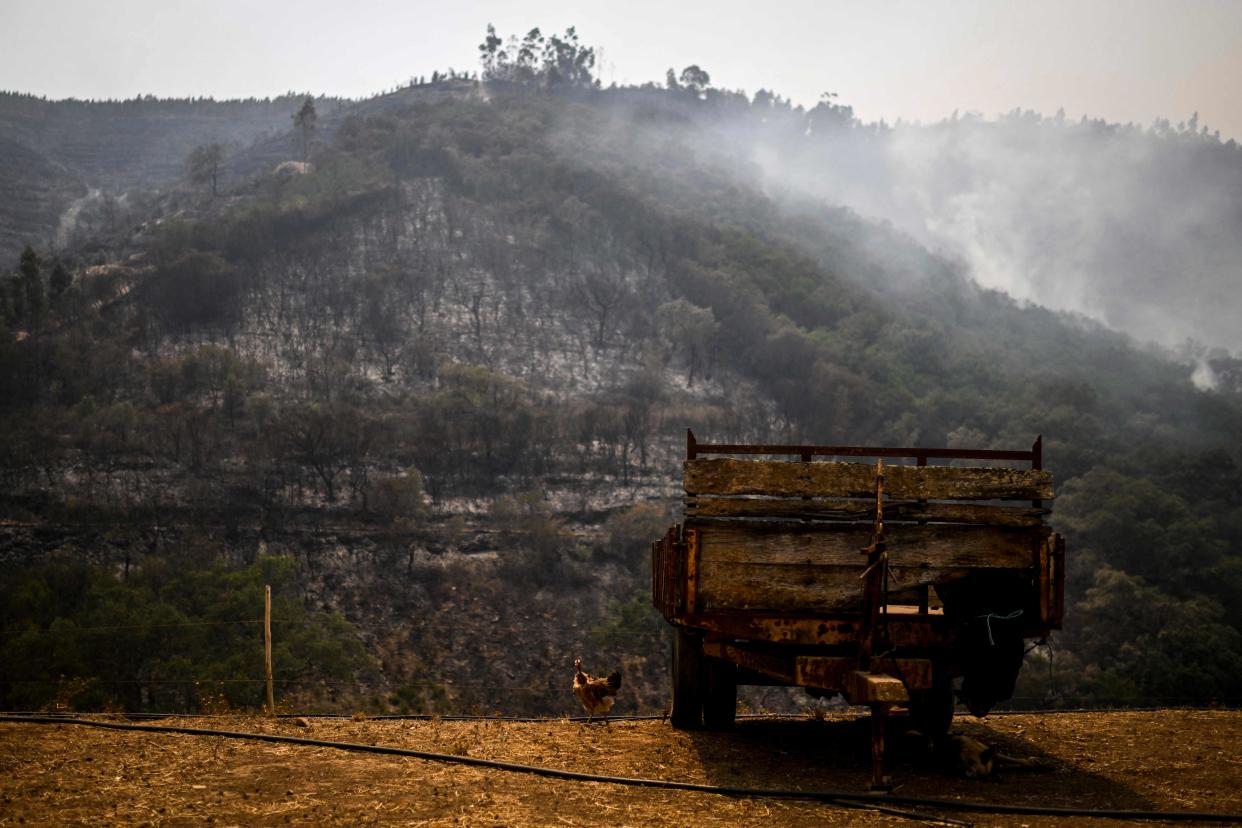 Hundreds of firefighters are fighting against a wildfire that has been raging for four days (AFP via Getty Images)