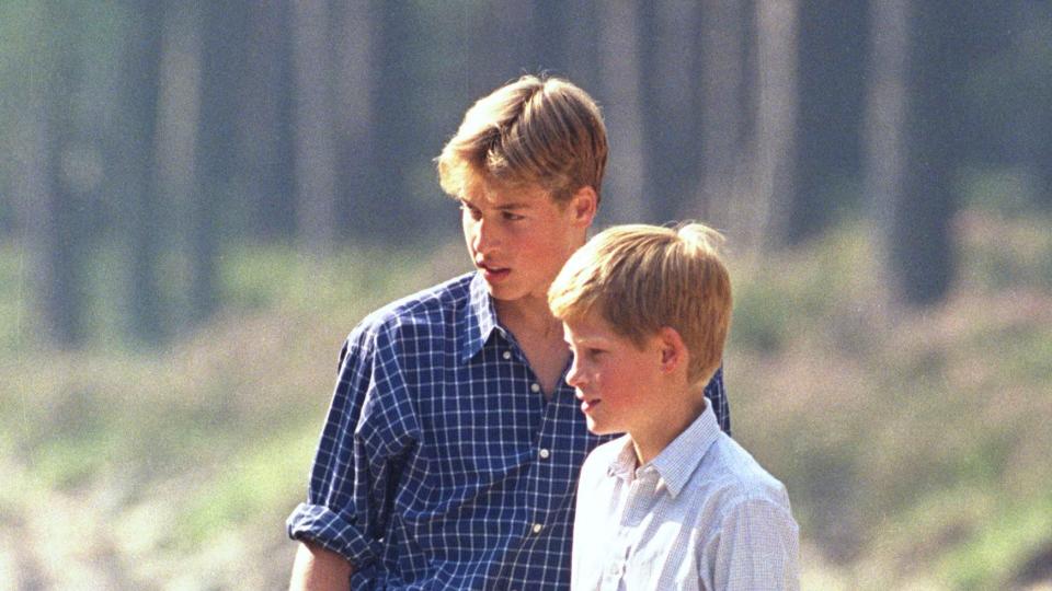 charles, william harry photocall in balmoral