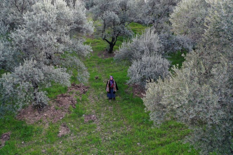 The Wider Image: Turkish olive farmer battles to save her land from coal mine