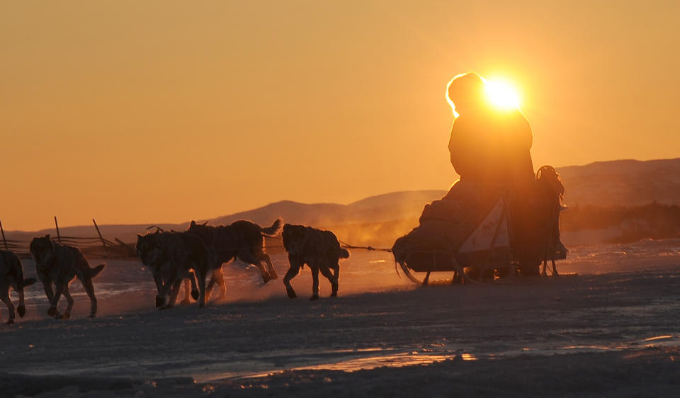 Iditarod musher Michelle Phillips, from Tagish, YT, Canada, arrives at the Unalakleet checkpoint at sunrise during the 2014 Iditarod Trail Sled Dog Race on Sunday, March 9, 2014. (AP Photo/The Anchorage Daily News, Bob Hallinen)
