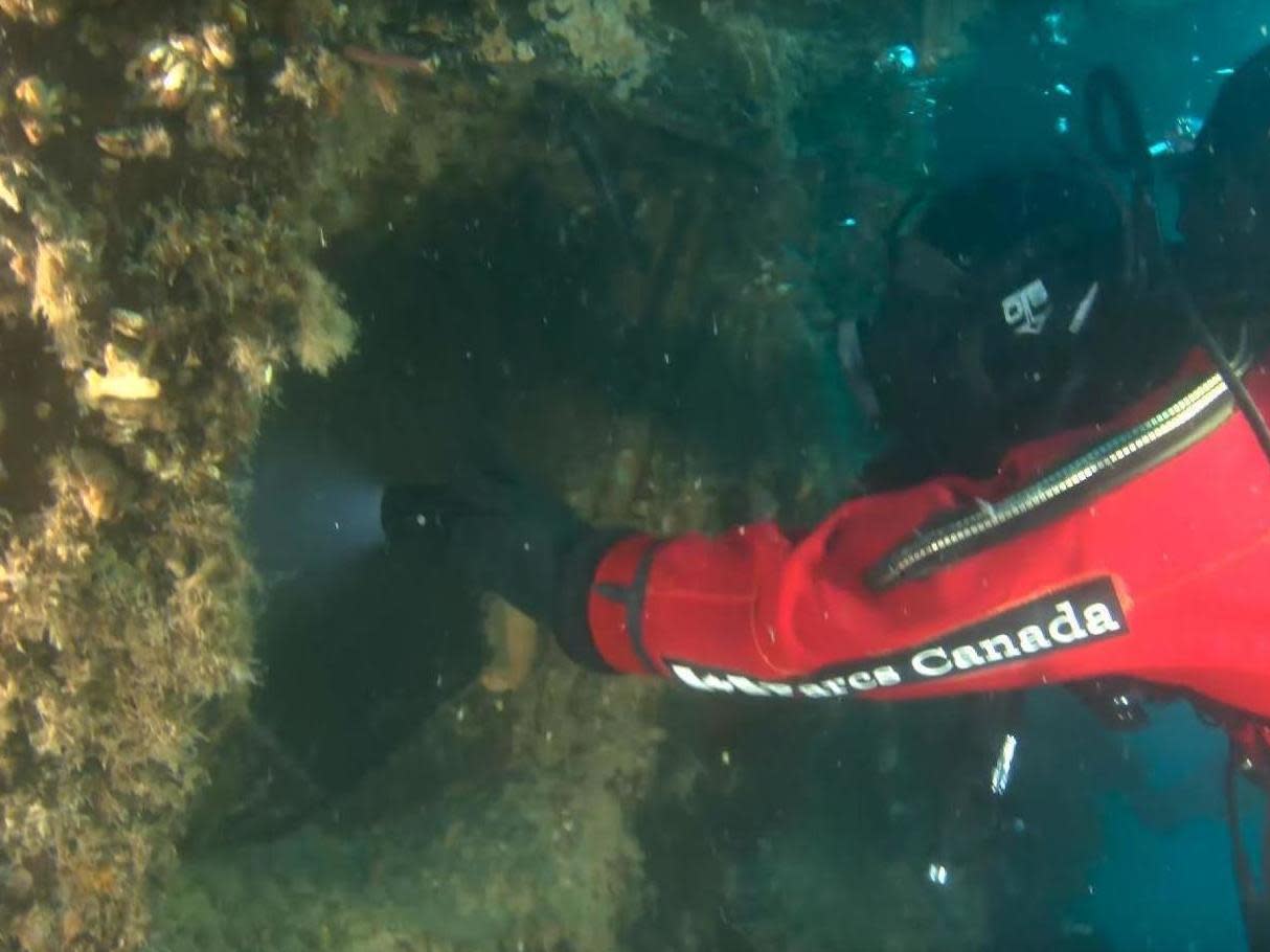 A diver peers into Captain Crozier's cabin: Parks Canada