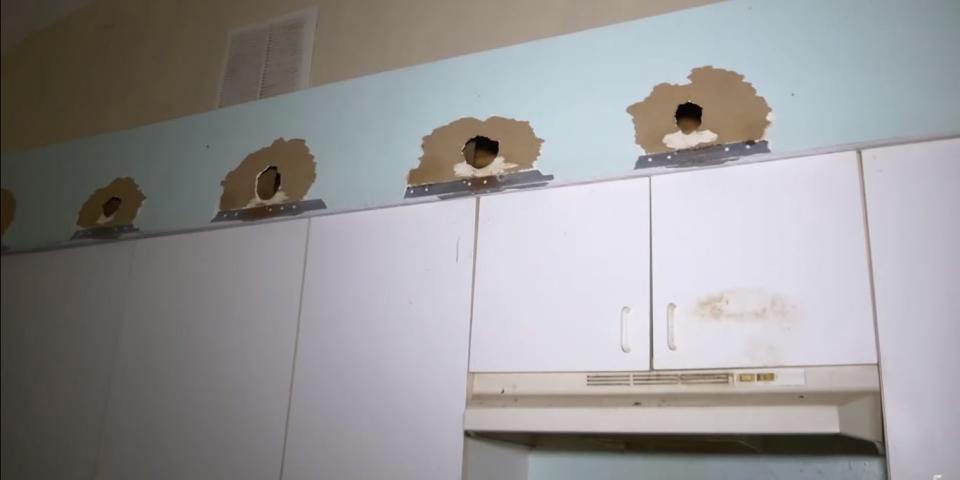 A blue wall with four chewed holes in it above a kitchen cabinet, used as tunnels for rats.