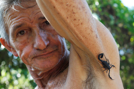 Farmer Pepe Casanas poses with a scorpion in Los Palacios, Cuba, December 5, 2018. REUTERS/Stringer