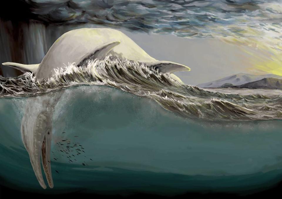Ichthyosaurs were an apex predator in their time, and may have used similar hunting techniques to other large, ocean creatures known today. Marcello Perillo/University of Bonn