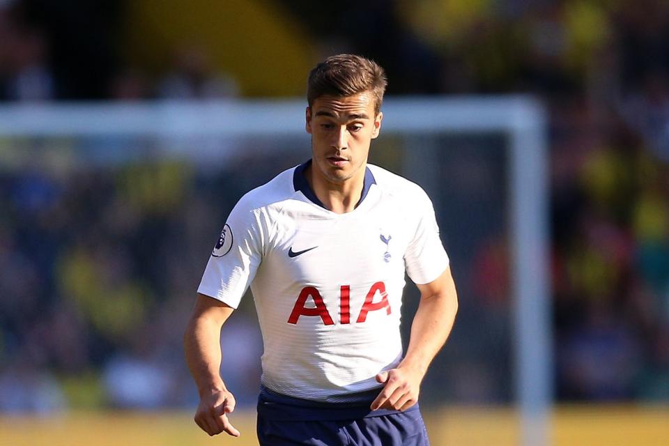 High praise: Harry Winks can be the perfect midfielder, insists Pochettino: PA