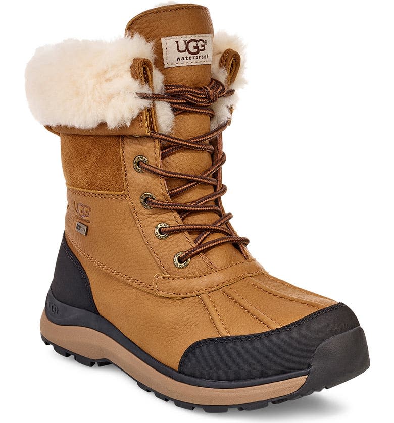the ugg boot