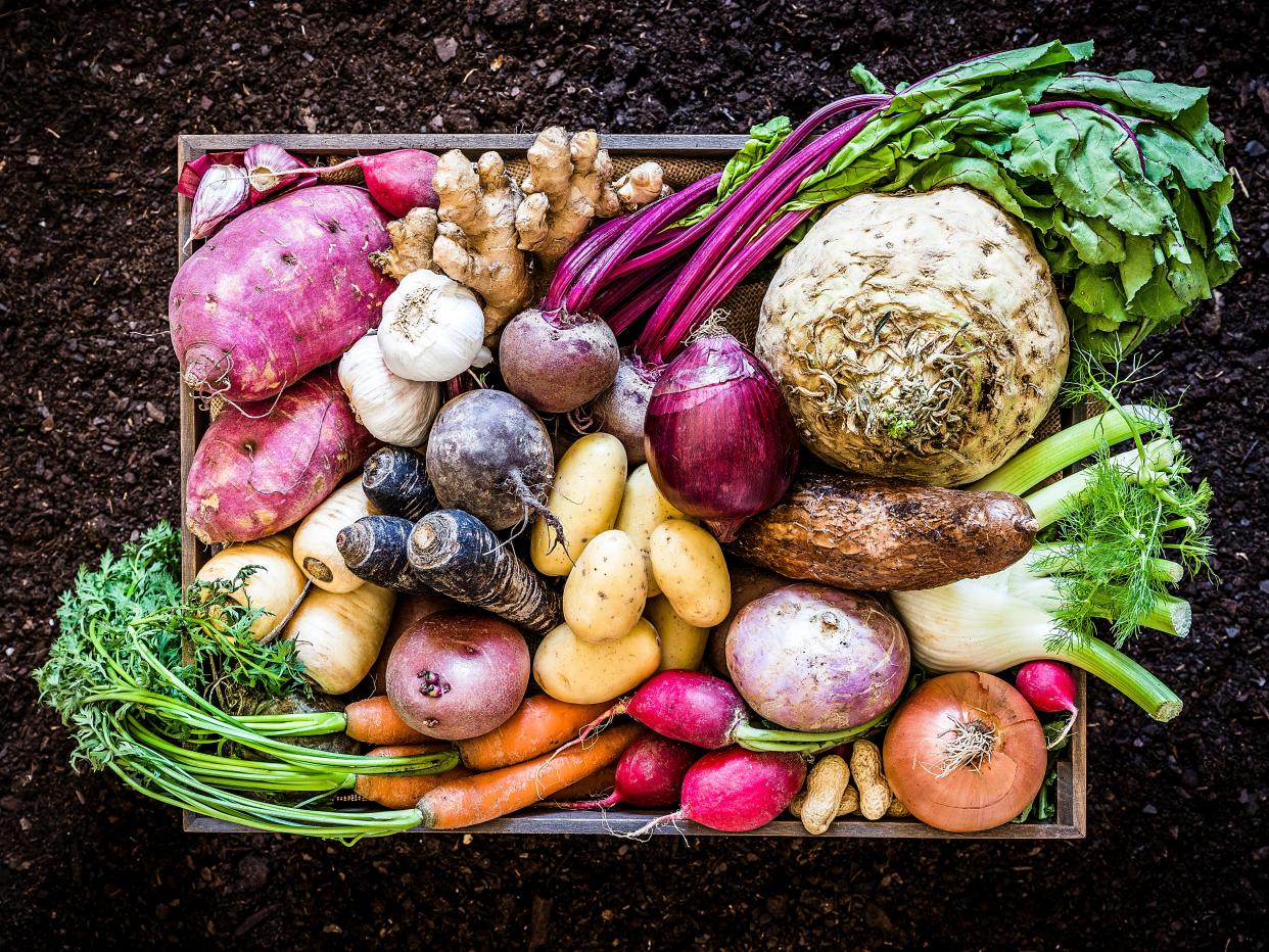 A new report shows shifting to a more plant-based diet is instrumental in improving both the health of humans and the planet (Getty/iStock)