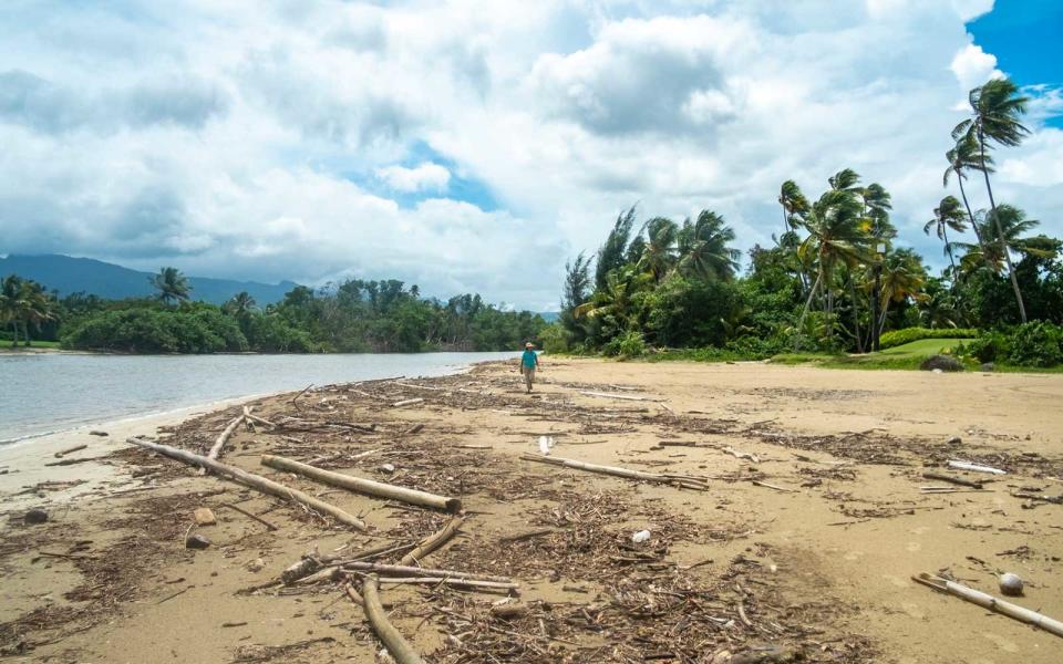 <p>On the edge of the resort and the Río Espíritu Santo Natural Reserve is the mouth of the Río Espíritu Santo (the Holy Spirit River). This river was littered with large appliances and trash when Cañón started on the job, but with frequent beach clean ups, it’s turned out to be a peaceful clearing where sandpipers and pelicans nest. Mangrove trees are planted along the edge of the river to help prevent major flooding.</p>