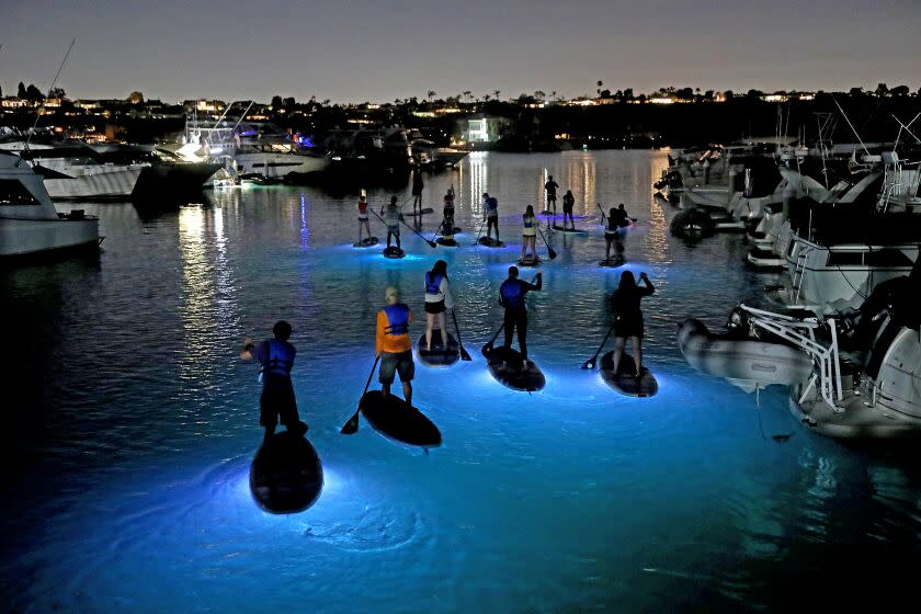 NEWPORT BEACH, CA - JUNE 17: Paddle boarders during a Pirate Coast Paddle's SUP Glow Tour in back bay on Friday, June 17, 2022 in Newport Beach, CA. Each board is equipped with waterproof LED lighting that makes for a glowing spectacle of awesomeness. (Gary Coronado / Los Angeles Times)