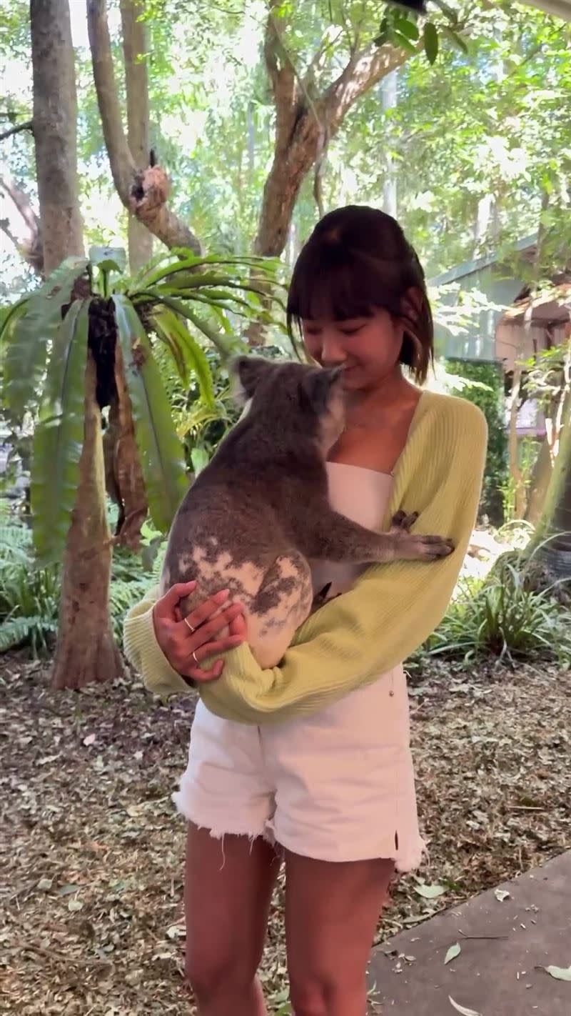 愛莉莎莎日前前往澳洲動物園，體驗抱無尾熊。（圖／翻攝自愛莉莎莎IG）