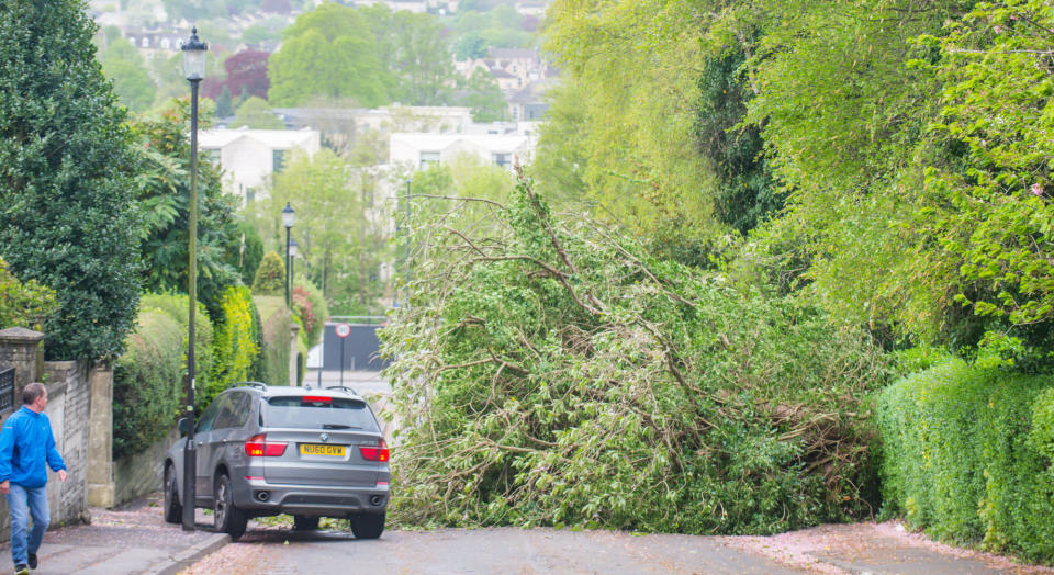 Storm Hannah caused disruption as winds of up to 82mph took out power lines and blocked roads (Picture: SWNS)